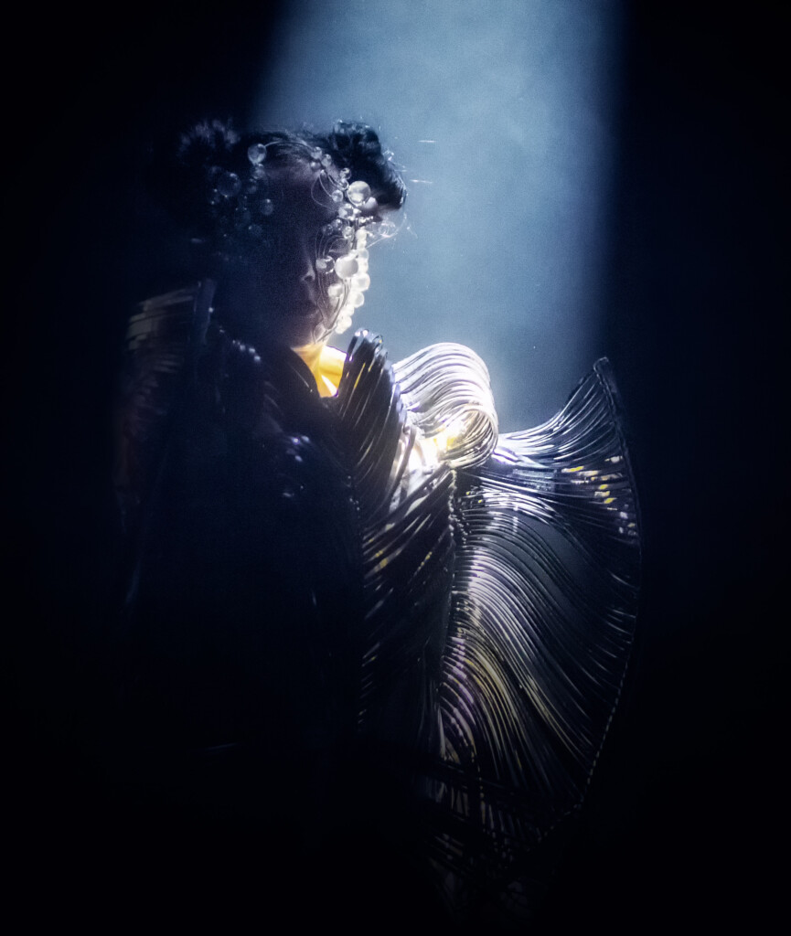 Foto Bjork door Juri Hiensch