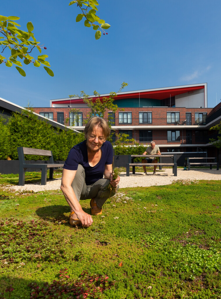 Foto Daktuin onderhouden door Juri Hiensch