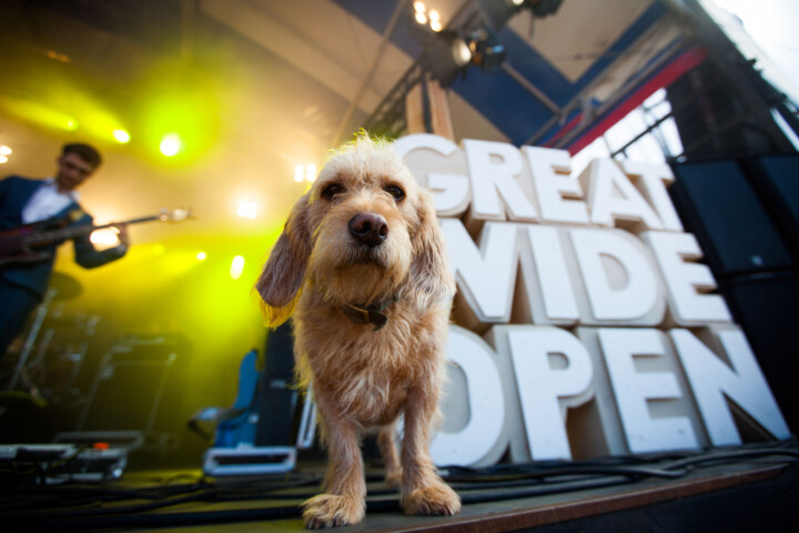 Live concertfoto Bert (Roosbeef) op ITGWO door Juri Hiensch